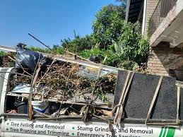 Best Yard Waste Removal  in , SC